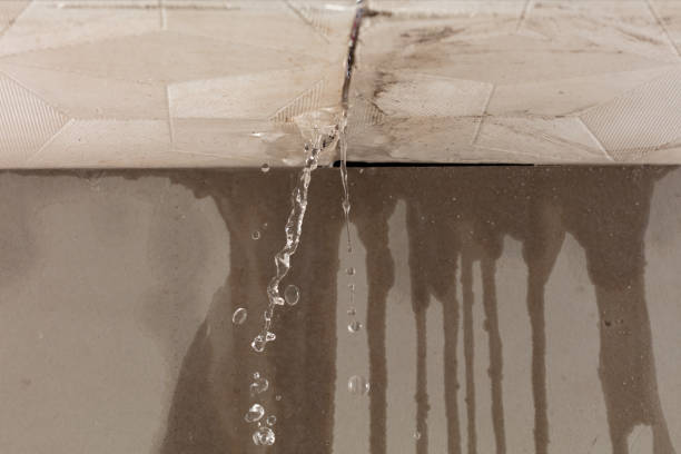Professional Water Damage Inspection technician working in Montgomery, TX